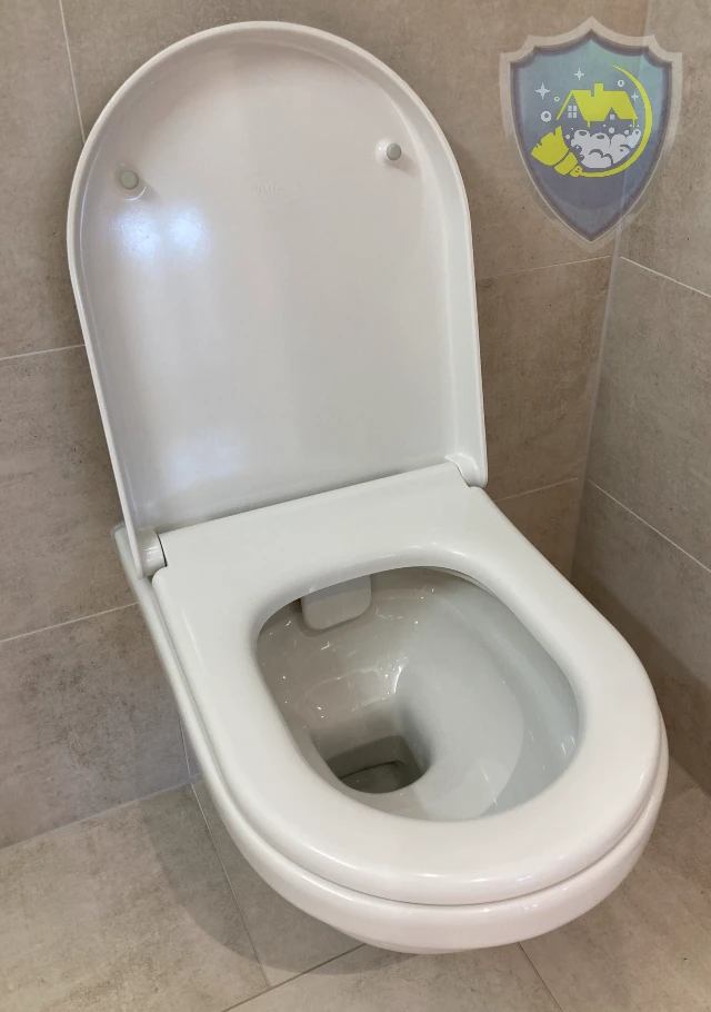 Gründlich gereinigte Toilette mit geöffnetem Deckel – glänzend und hygienisch sauber im Innenbereich.