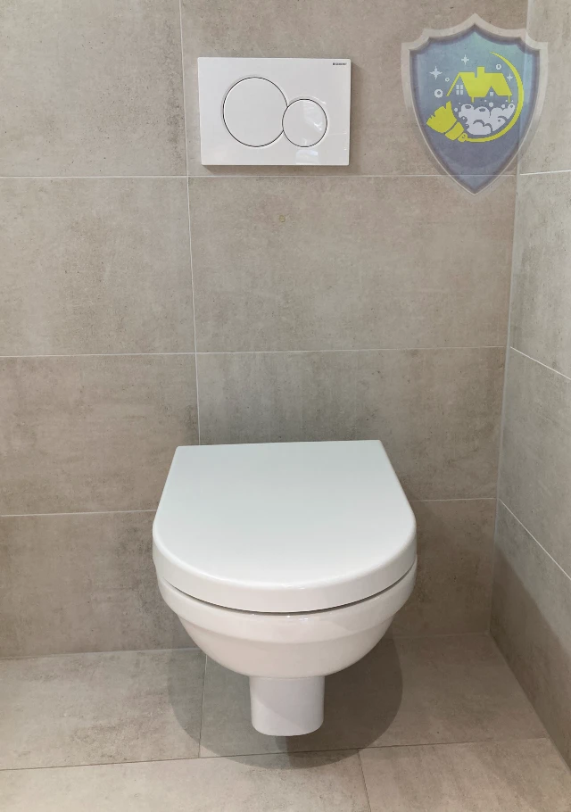 Gründlich gereinigte Toilette mit sauberem WC-Deckel – hygienisch und gepflegt.